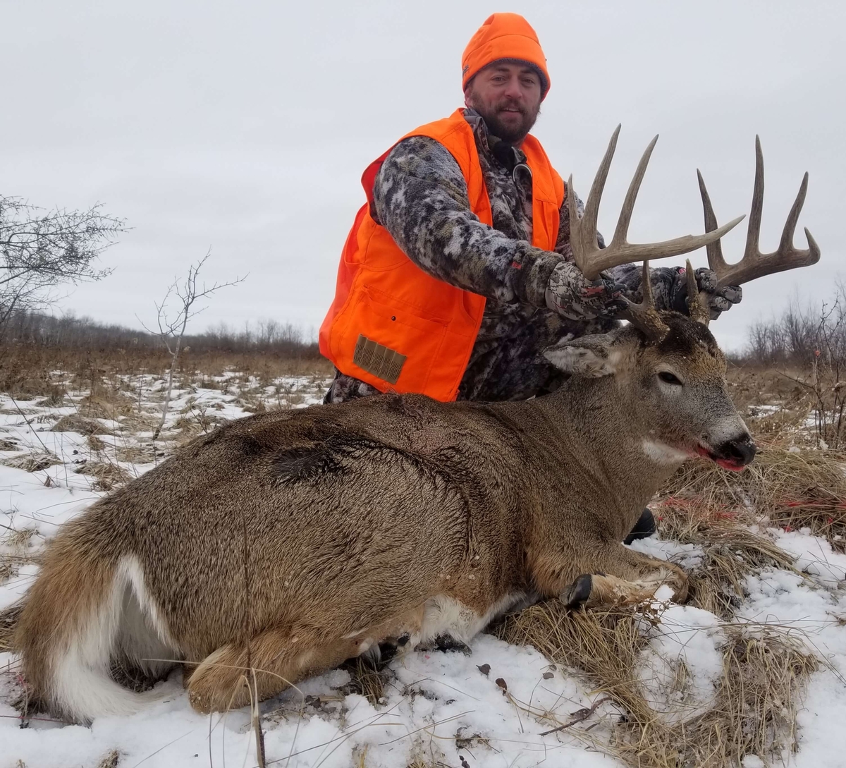 Whitetail Hunting Photo